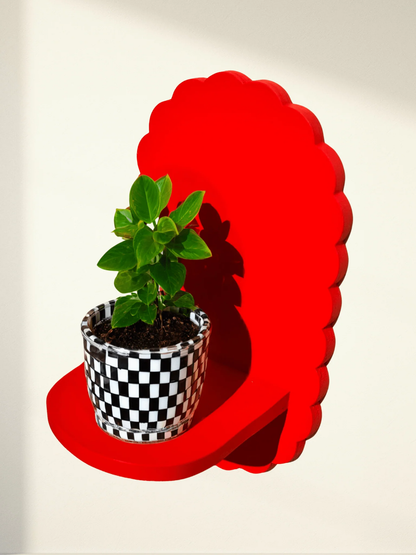Oval petal Shelf